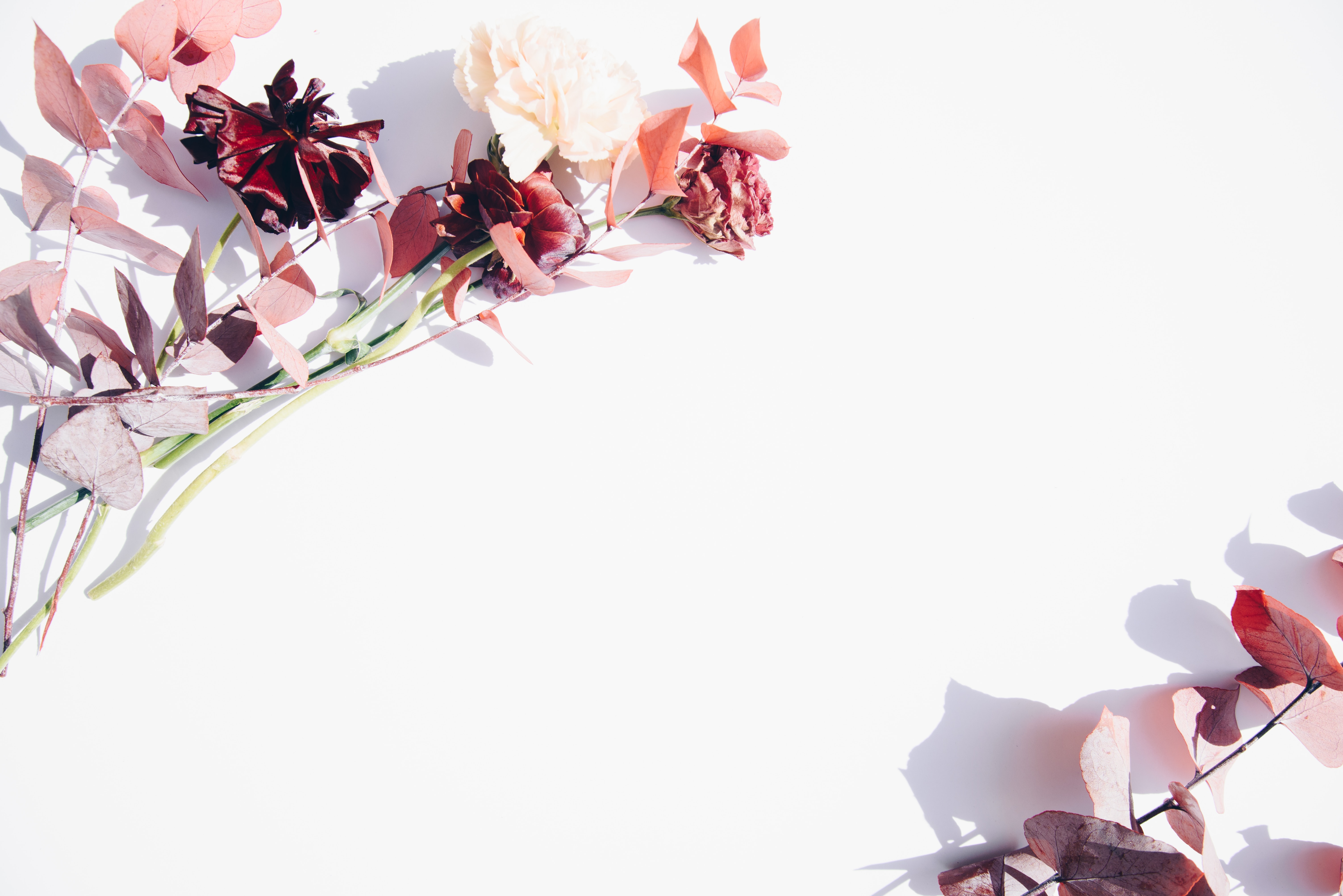 home_bg